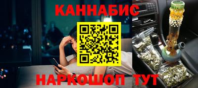 индика Лесосибирск