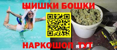 индика Лесосибирск