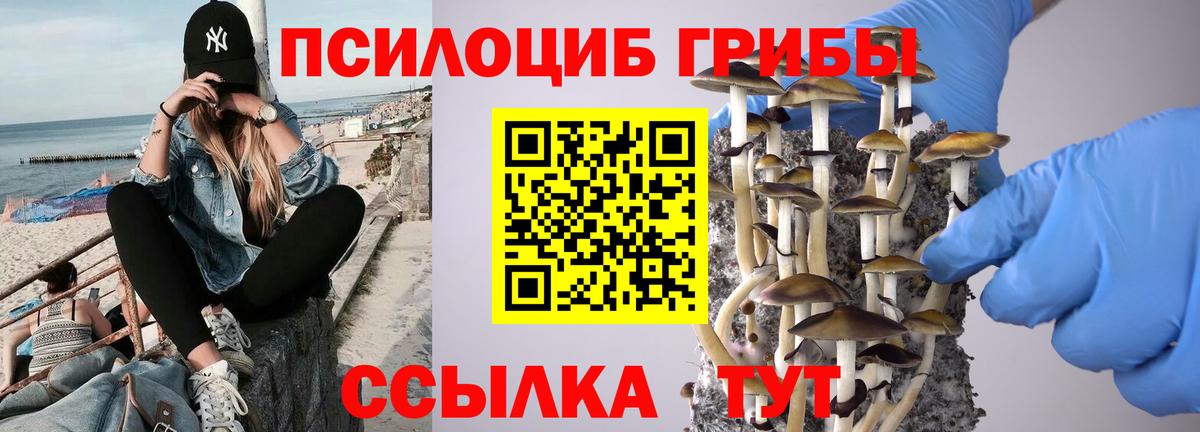 Галлюциногенные грибы мухоморы Всеволожск
